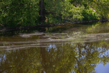 Still water in the Elora Gorge