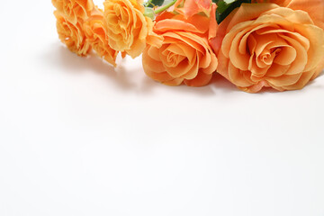 白背景のオレンジ色の薔薇の花束