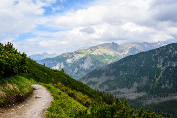 Fototapeta na wymiar Mountain landscape in summer from a footpath