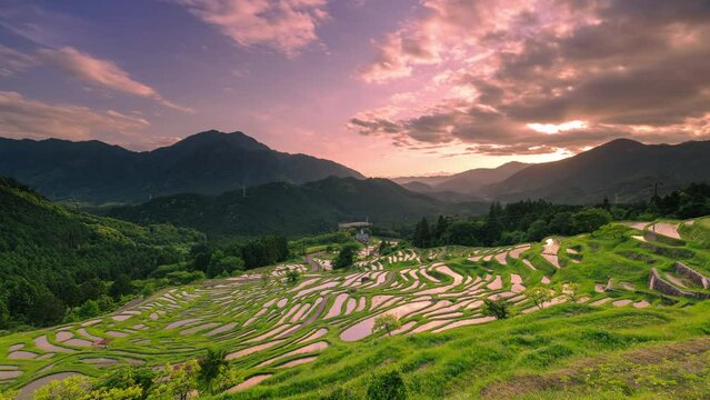 丸山千枚田の夕景