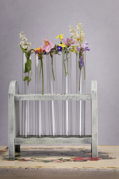 Gruppo di fiori di campagna dentro 
 la provetta sopra un tavolo di legno