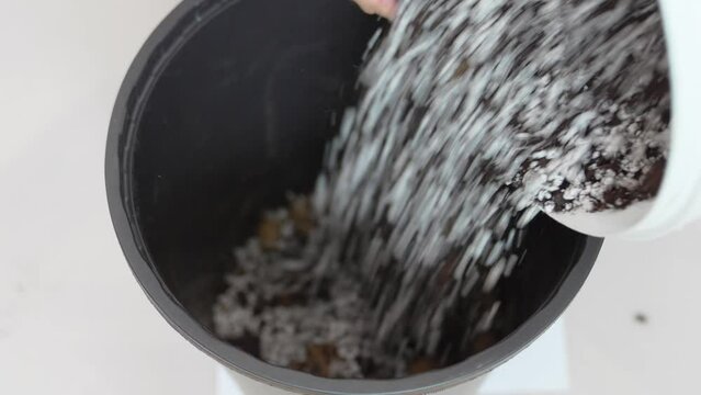 transplantation of houseplants. in the pot pour earth mixed with perlite. 