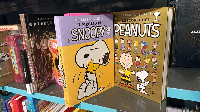 Cover of the book dedicated to the history of Peanuts, Italian edition