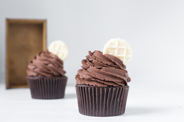 Chocolate cupcake with dark chocolate buttercream, double chocolate cupcakes with american buttercream, tall swirl frosting on a cupcake with a wafer