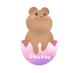 Quokka 