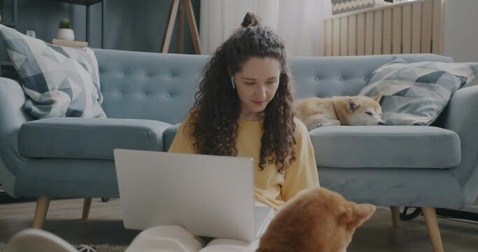 Slow motion of joyful woman playing with shiba inu dog throwing ball and working with lapop at home. Domestic animals and fun concept.