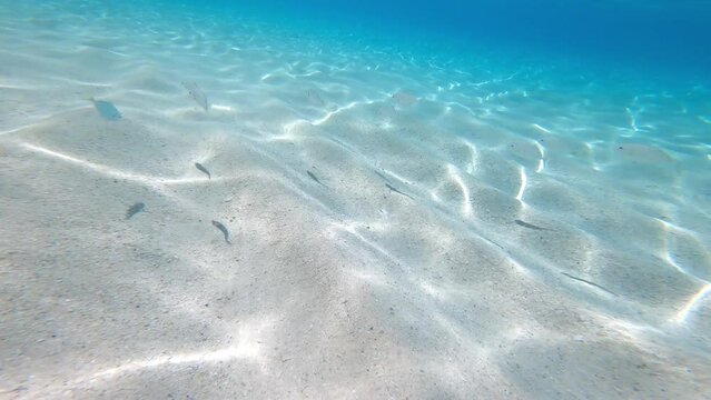 Turks and Caicos, Grace Bay Beach. Underwater footage of crystal clear blue ocean waters and swimming fish. Tropical Island Travel destinations. Luxury Travels