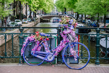 Fototapeta na wymiar Pink and blue bicycle with flowers on a bridge in Amsterdam