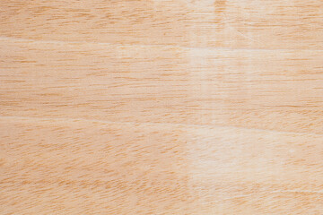 Light rough textured cut surface of an African tree. Wood background or blank for design