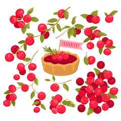 Cranberry set vector illustration. Cartoon isolated vitamin red berry fruit on branch with leaf, summer twig of botanical plant and organic food ingredient for portion cranberry sweet cake or tart