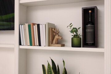 Shelves with houseplants, books and wine bottle indoors. Interior design