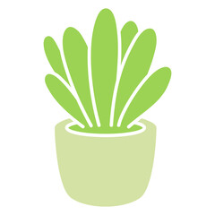 houseplant cactus