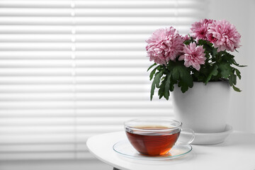 Fototapeta na wymiar Beautiful chrysanthemum plant in flower pot and cup of tea on white table indoors, space for text