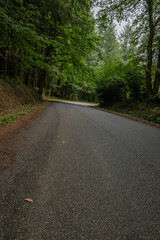 Fototapeta premium Country drive