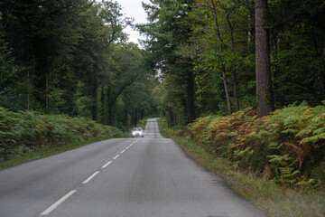 Obraz premium Country drive