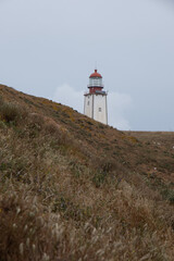Fototapeta na wymiar Lighthouse of the Berlenga Islands in the portuguese Iberian Peninsula