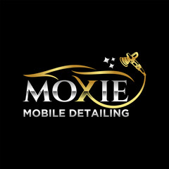 Car Detailing Logo Inspiration Vector