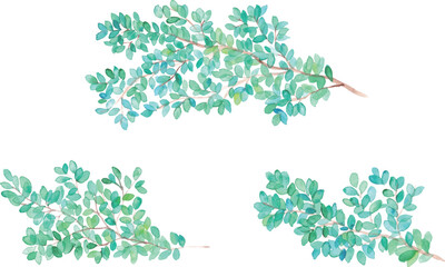 水彩画。水彩タッチの新緑ベクターイラスト。緑の葉っぱナチュラル飾り枠フレーム背景。Watercolor painting. Watercolor touch new green vector illustration. Green leaves natural decorative frame frame background.