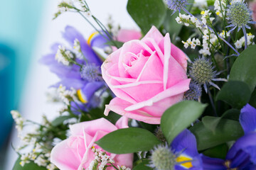 Beautiful flowers Highly detailed, shot on a white background. Macro picture