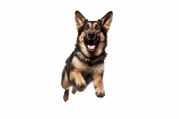 Illustration of a German Shepherd dog leaping with joy in mid-air on a white background -  created with Generative AI technology
