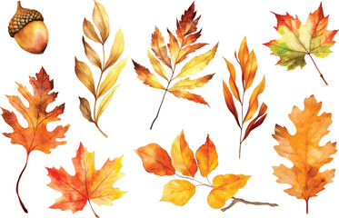 Autumn season banner. Greeting card with inscription Hello, Autumn and hand drawn vector watercolor illustration fall leaves.  isolated on white background. - obrazy, fototapety, plakaty
