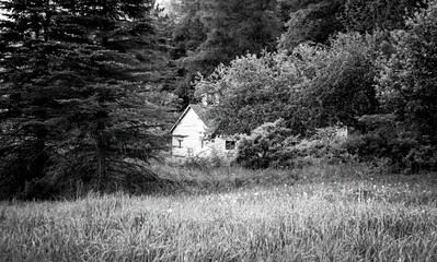 Small white house in the countryside, framed by
meadow grass, wildflowers and trees. Black and...