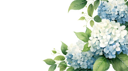 cascading hydrangea blooms as a frame border, isolated with negative space for layouts