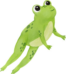 Frog watercolor hand-drawing PNG.