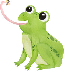 Frog watercolor hand-drawing PNG.