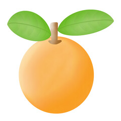 Orange fruit