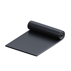 Yoga Mat 3D Illustrations