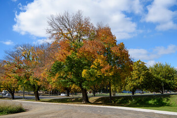 Autumn Colours In Kyneton, Victoria, Australia