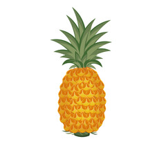 A whole Pineapple summer fruit illustration