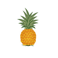 Sweet And Fresh Honey Pineapple Vector Illustration Logo