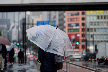 雨のストリートを傘をさして歩く女性の後ろ姿