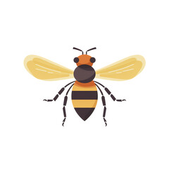 bee on transparent background