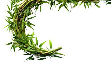 Fototapeta premium verdant bamboo shoots as a frame border, isolated with negative space for layouts