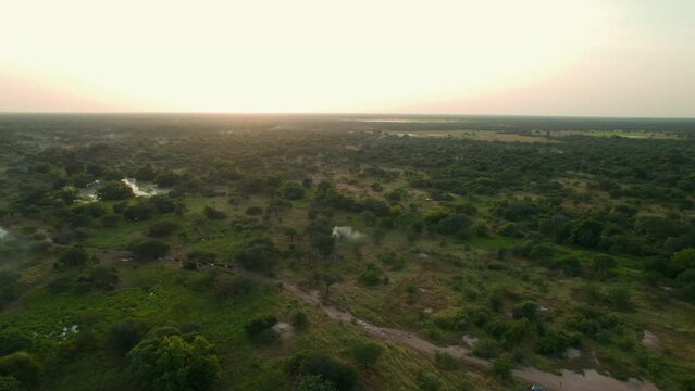 Aerial high view of the forest at sunrise in the middle of Africa. Summer day in Chad after the rain season with green jungle next to the sand from a drone flying over the trees