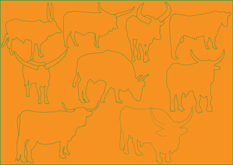 cattle illustration collection - vector