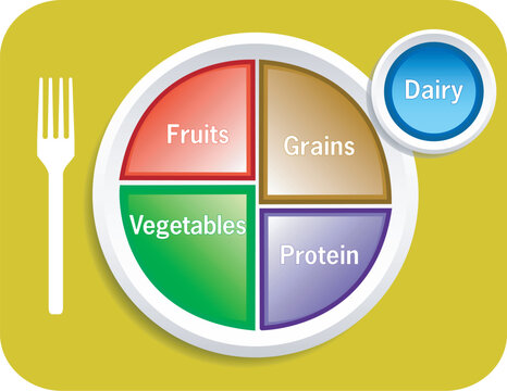Vector illustration of new my plate replaces food pyramid.