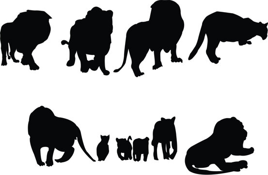 lions collection - vector