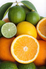 Fototapeta na wymiar fresh orange,lemon and citrus fruits