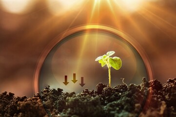 Ecology concept, sustainable resources,green plant in soil