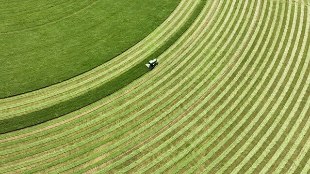 Aerial shot of a tractor harvisting a crop on a center pivot farm in the California desert