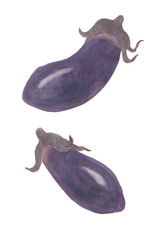 ナス　水彩