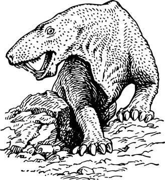 Dino - Inostrancevia