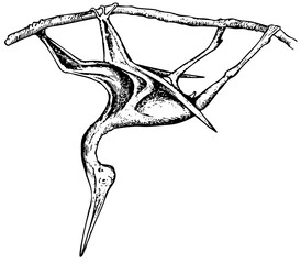 Prehistoric flying reptile © Designpics