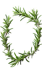 aromatic rosemary sprigs as a frame border, isolated with negative space for layouts