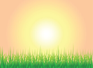 Fototapeta na wymiar A Colourful Vector Illustration of A Sunset Grass Background