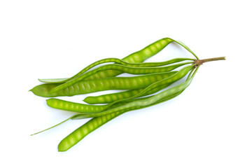 Leucaena leucocephala isolated on white background